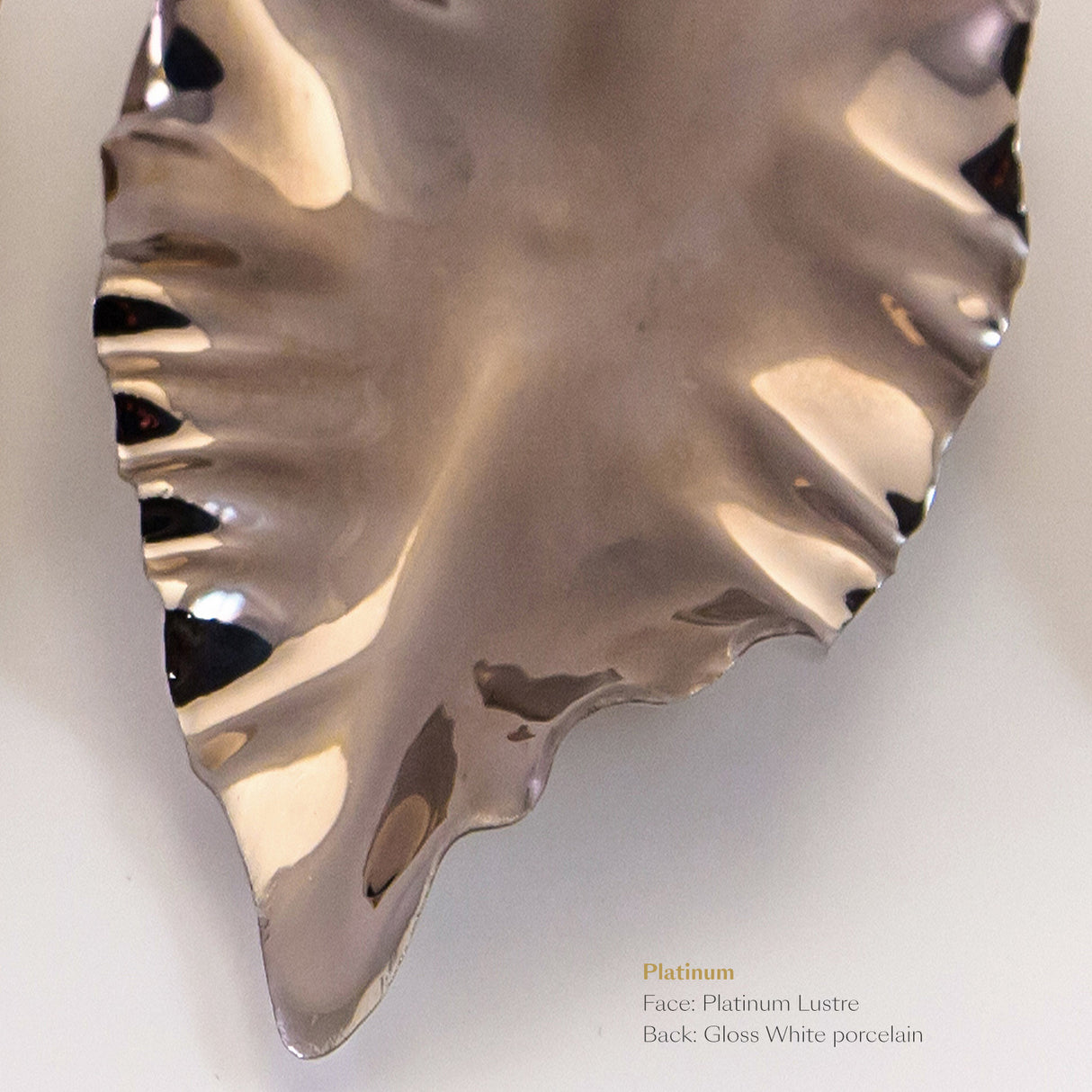 Leaf · Twisted Canopy