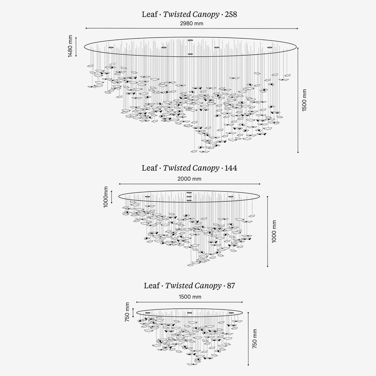 Leaf · Twisted Canopy