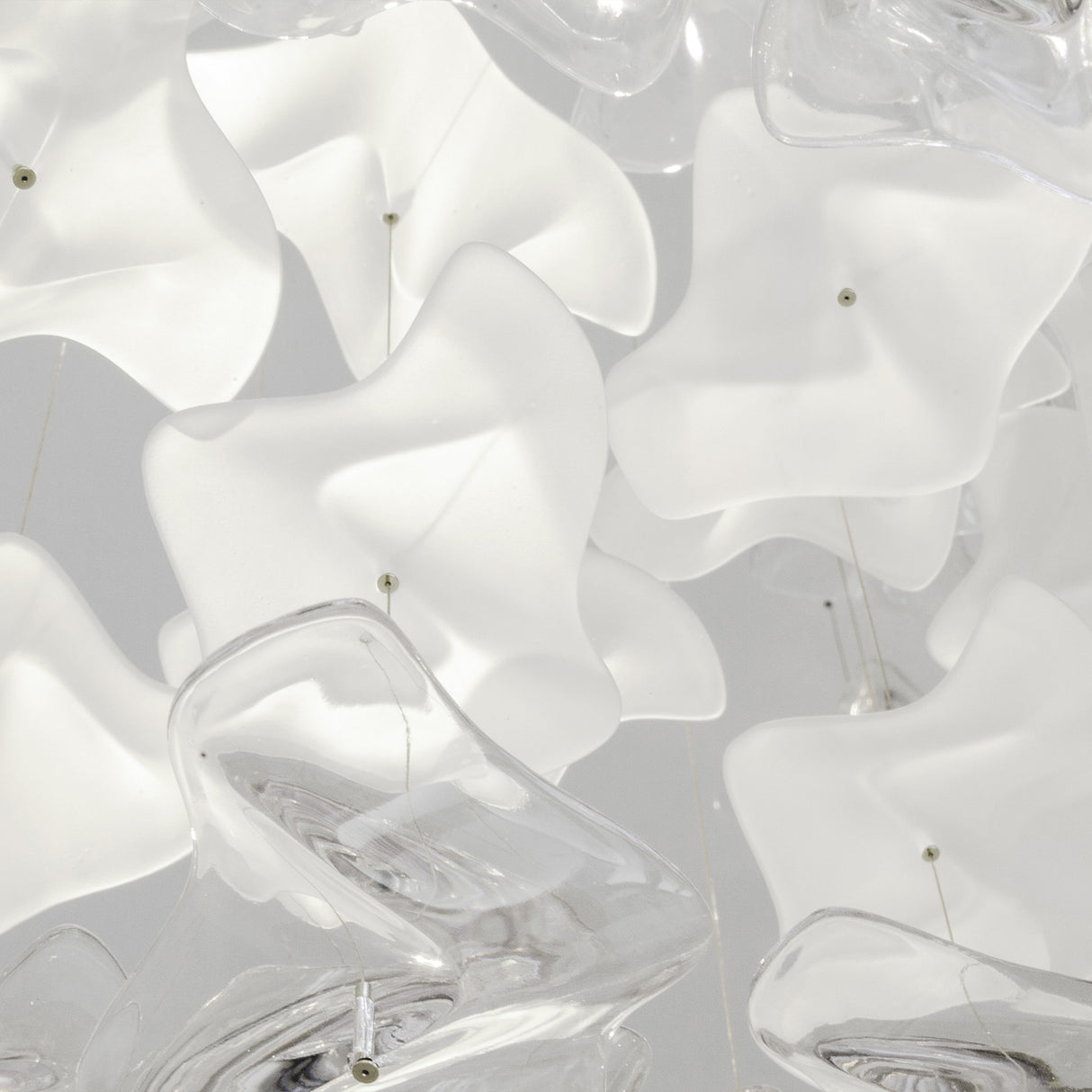 Sand & Sea · Shoreline (including Downlights)