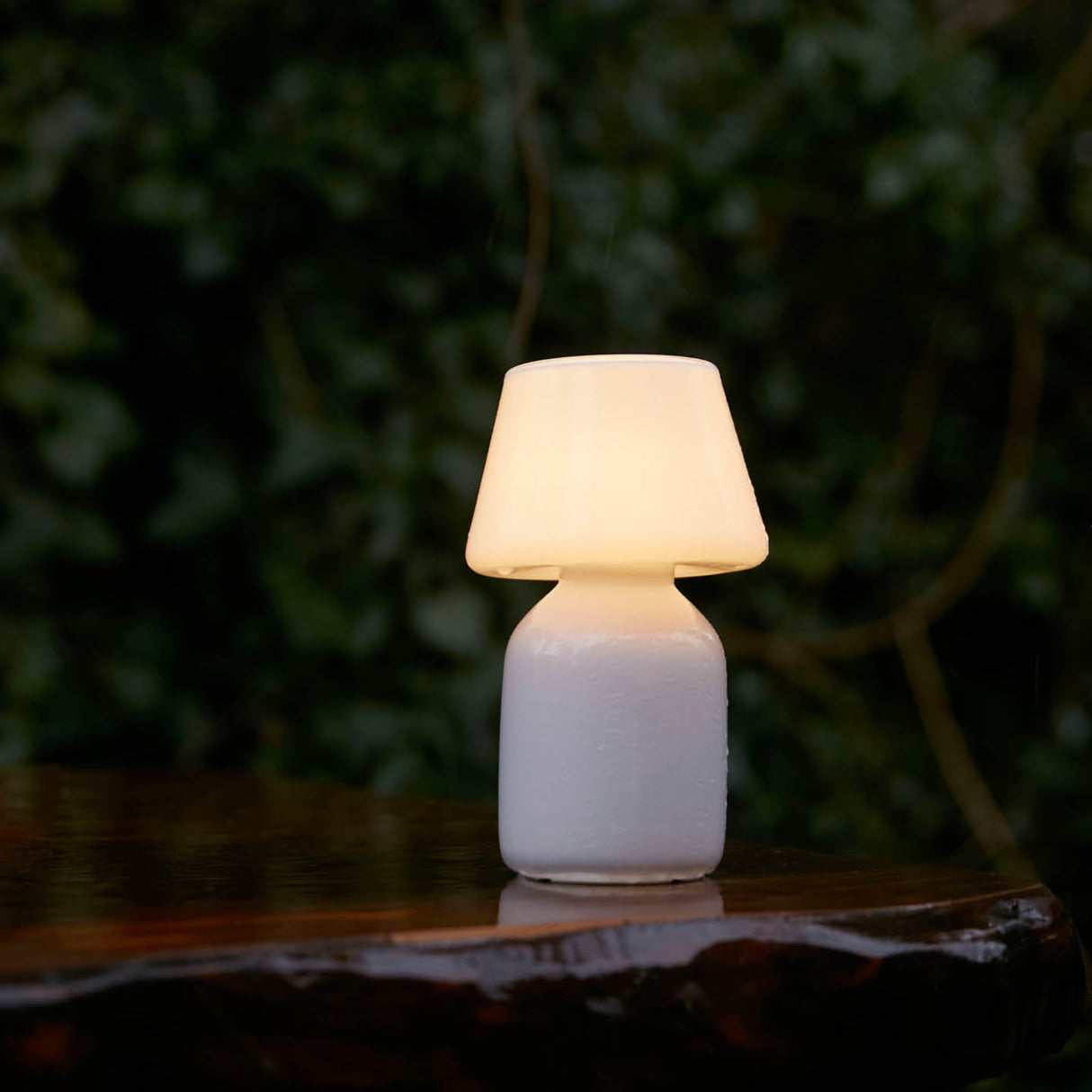 Apollo Portable Lamp