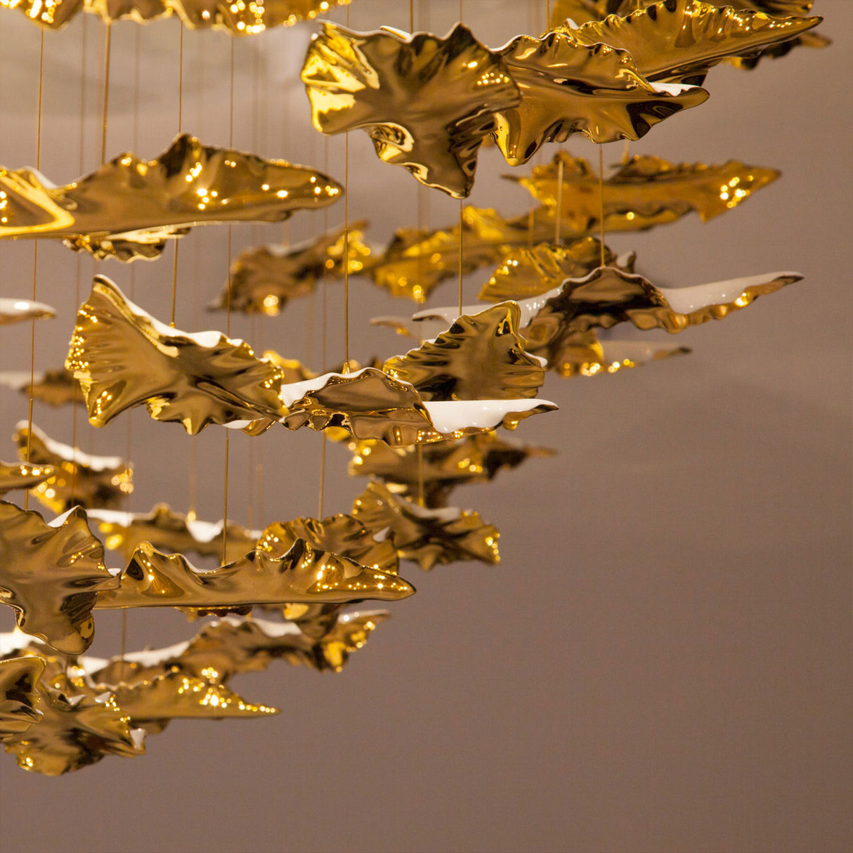 Leaf · Domed Canopy