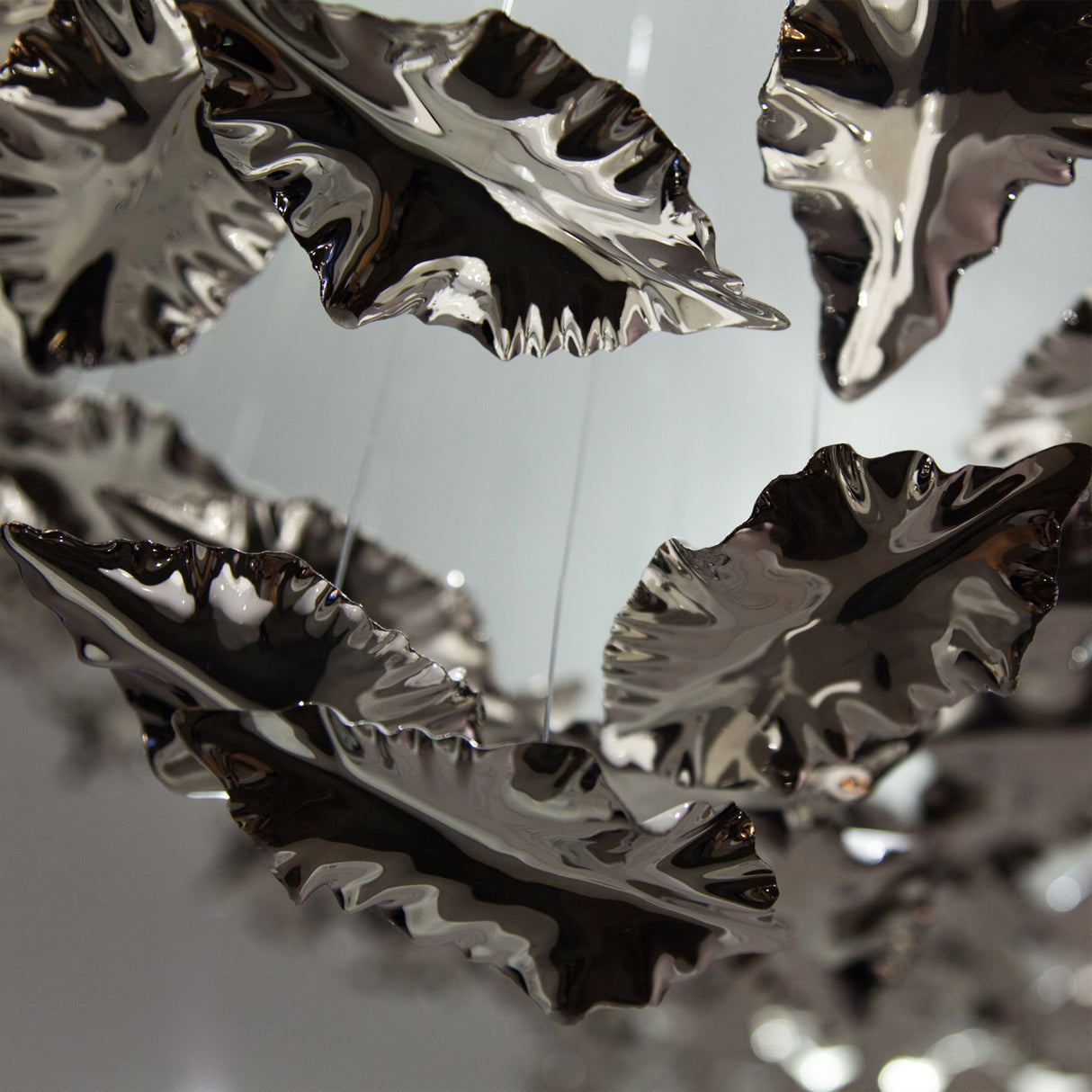 Leaf · Domed Canopy