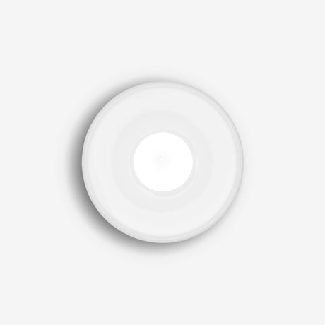 Globe Surface Opalescent